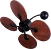 Aera Treen-16 812 mm 4 Blade Ceiling Fan