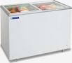 Blue Star GT500AG 502 L Flat Glass Top Double Door Deep Freezer