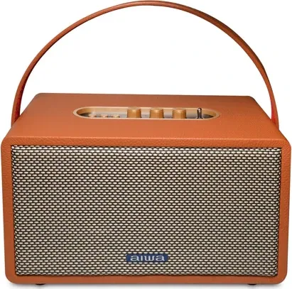 Aiwa Natsukasii Pro RS-X150 60W Bluetooth Speaker
