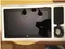 Microsoft Surface Pro 2 10.6 Tablet (4th Gen Ci5 4200U/ 8GB/ 256GB/ Win8.1 Pro)