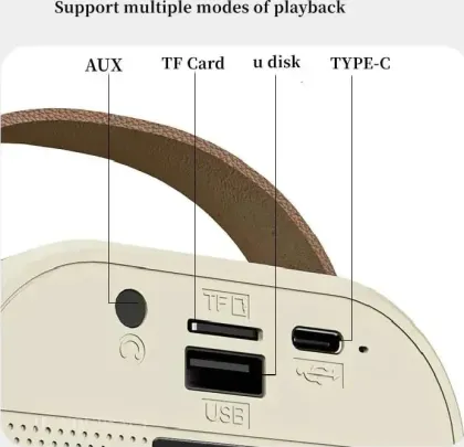 Fire Turtle ‎K12 Karaoke 10W Bluetooth Speaker