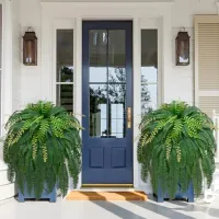 Artificial Ferns