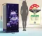 Haier HED-204TMBBA-N 190 L 4 Star Single Door Refrigerator