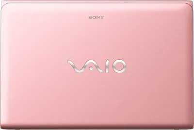 Sony VAIO E14133 Laptop (3rd Gen Ci3/ 2GB/ 500GB/ Win8)