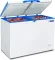 Blue Star CHFDD300DGSW 300 L Double Door Deep Freezer