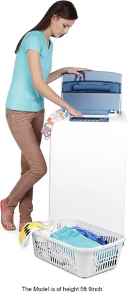 IFB AW60-205T 6 kg Fully Automatic Top Load Washing Machine
