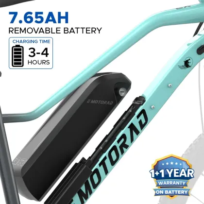 EMotorad X2 Electric Cycle