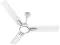 Standard Cruiser 1050 mm 3 Blades Ceiling Fan