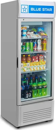 Blue Star VC325D 300 L Single Door Floor Standing Visi Cooler