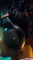 Sennheiser HD 505 Wired Headphones