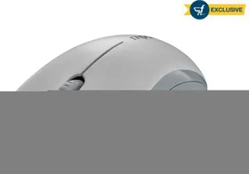 Rapoo M 11 Wireless Optical Mouse (Wireless)