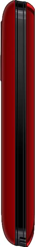 Spice Blueberry Mini QT58