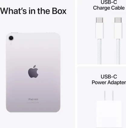 Apple iPad Mini (256GB+ Wi-Fi Only)