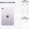 Apple iPad Mini (256GB+ Wi-Fi Only)