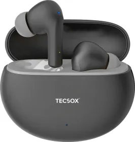 TecSox Ace 251 True Wireless Earbuds