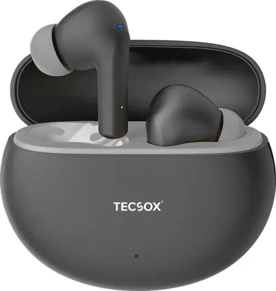TecSox Ace 251 True Wireless Earbuds