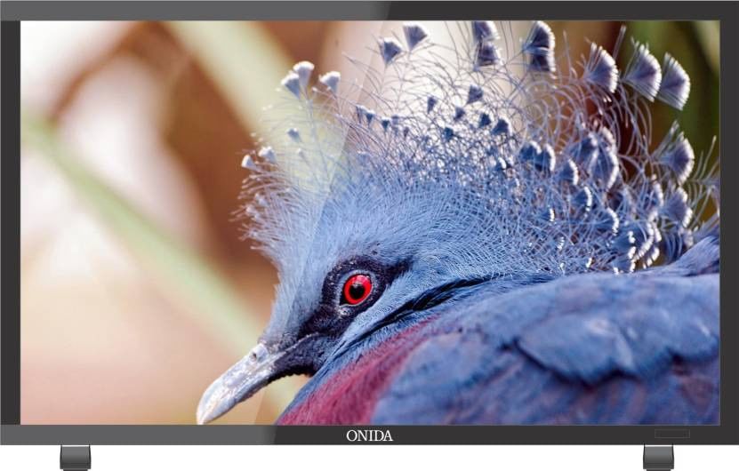 Onida LEO24HB (24-inch) HD Ready LED TV 