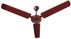 Croma CRSF78BCFA256901 1200mm 3 Blade Ceiling Fan