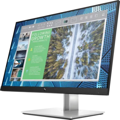 HP E24q G4 23.8 inch Quad HD Gaming Monitor