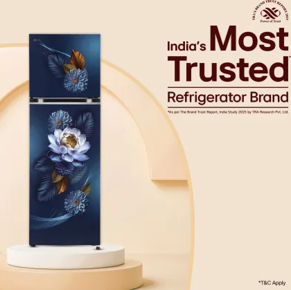 LG GL-S312SBWY 272 L 2 Star Double Door Refrigerator