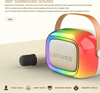 Lenyes S228 20W Bluetooth Speaker