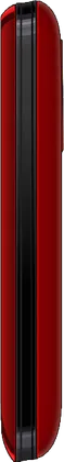 Spice Blueberry Mini QT58