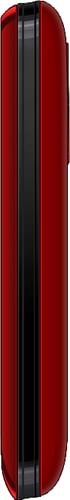 Spice Blueberry Mini QT58