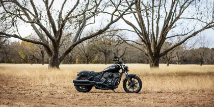 Indian Chief Dark Horse
