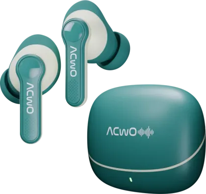 ACwO DwOTS 313 True Wireless Earbuds