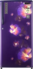 Realme TechLife 195BD2RMB1 195L 2 Star Single Door Refrigerator