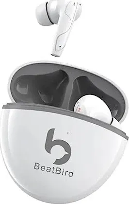 BeatBird Air 2 True Wireless Earbuds