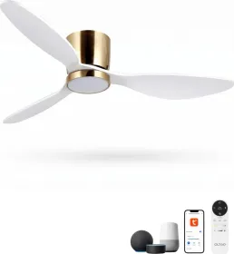 Oltao Trillium 52 inch 3 Blade BLDC Ceiling Fan