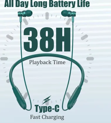 pTron InTunes Ace Wireless Neckband