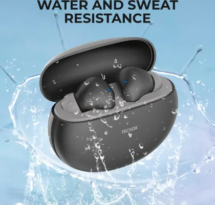 TecSox Ace 251 True Wireless Earbuds