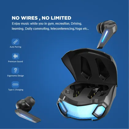 Riviera R012 True Wireless Earbuds