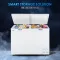Haier HFC-325CM5 303 L 5 Star Double Door Deep Freezer