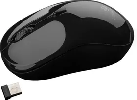 Zebronics Zeb-Shine Wireless Mouse
