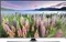 Samsung 49K5570 (49inch) 123cm Full HD LED Smart TV