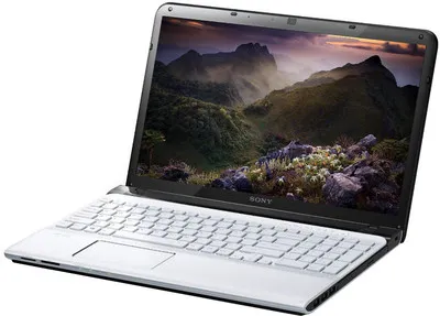 Sony VAIO E15136 Laptop (3rd Gen Ci5/ 4GB/ 500GB/ Win8/ 1GB Graph