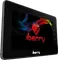iberry BT07i