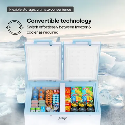 Godrej DH ESNCH 325D 2HCNP RW 302 L Double Door Deep Freezer
