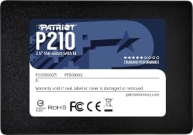 Patriot P210 256 GB Internal Solid State Drive
