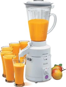Sujata Megamix 900W Juicer Mixer Grinder (1 Jar)