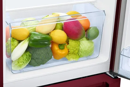 Samsung RR21C2F25HT 189 L 5 Star Single Door Refrigerator