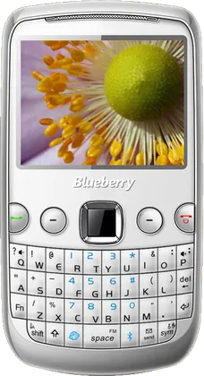 Spice Blueberry Mini QT58