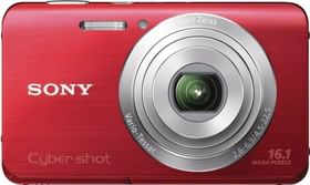 Sony Cyber-shot DSC-W650 16.1MP Digital Camera