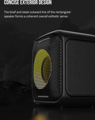 F&D PA100 40W Bluetooth Speaker