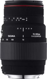 Sigma 70 - 300 mm F4-5.6 APO DG Macro Motorized Lens