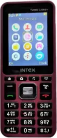 Intex Turbo Lions Plus