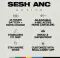 Skullcandy Sesh ANC Active True Wireless Earbuds